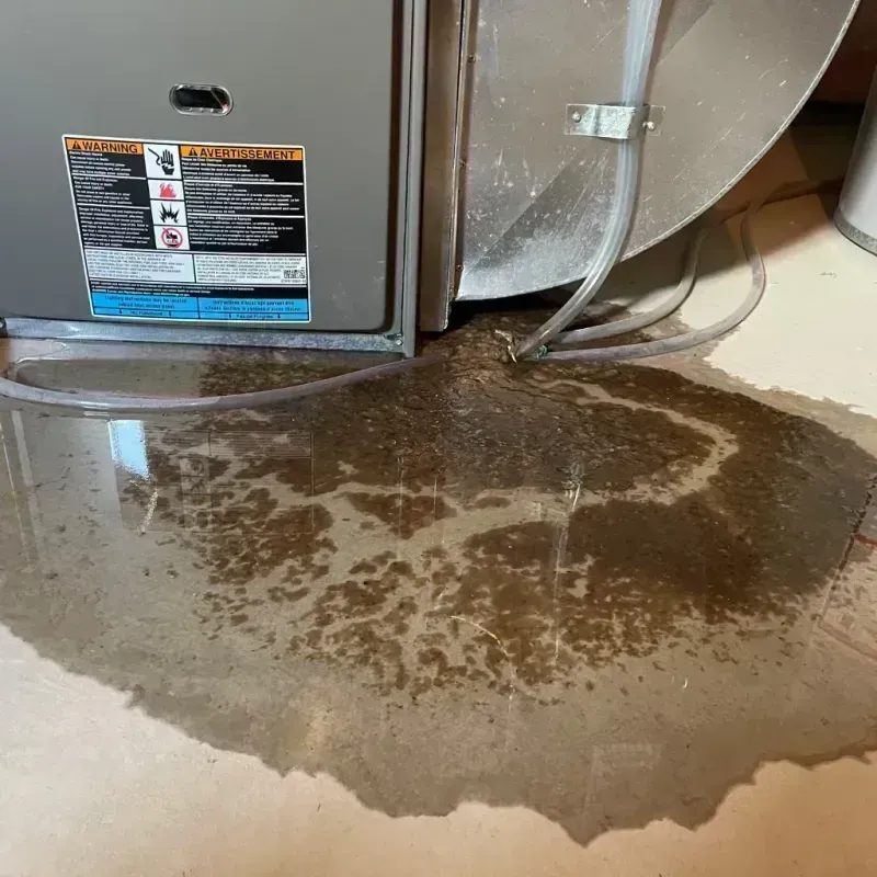 Appliance Leak Cleanup in West Fork, AR